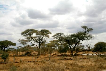 kenya-6-au-15-08-2010-047.jpg