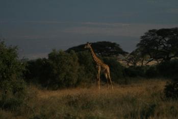 kenya-6-au-15-08-2010-067-2-1.jpg