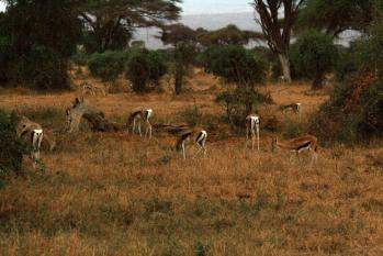 kenya-6-au-15-08-2010-085.jpg