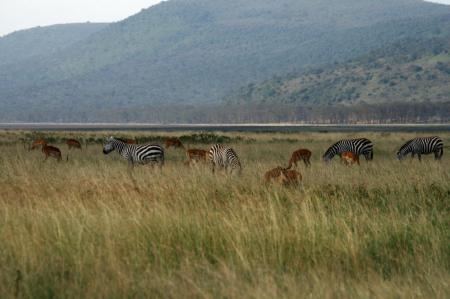 kenya-6-au-15-08-2010-1097.jpg