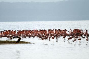 kenya-6-au-15-08-2010-1139.jpg