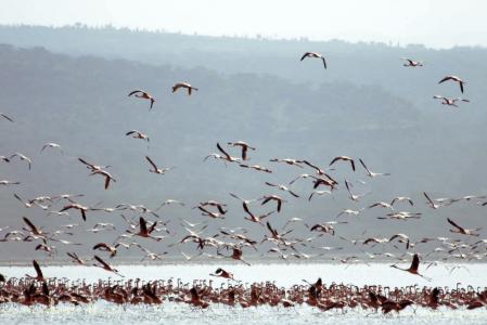 kenya-6-au-15-08-2010-1164.jpg