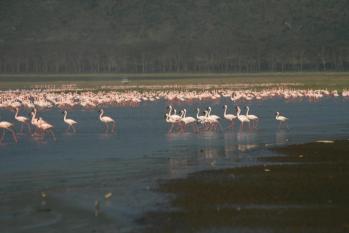 kenya-6-au-15-08-2010-1234.jpg