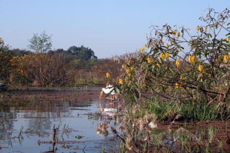 kenya-6-au-15-08-2010-1344-1.jpg