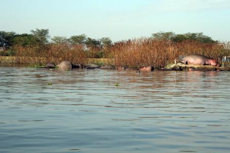 kenya-6-au-15-08-2010-1349-1.jpg