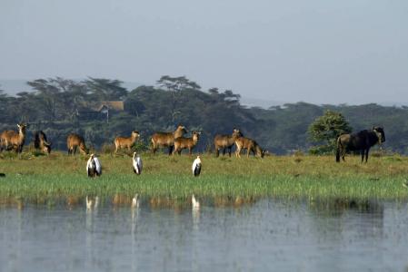 kenya-6-au-15-08-2010-1372-2-2.jpg