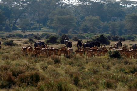 kenya-6-au-15-08-2010-1402.jpg