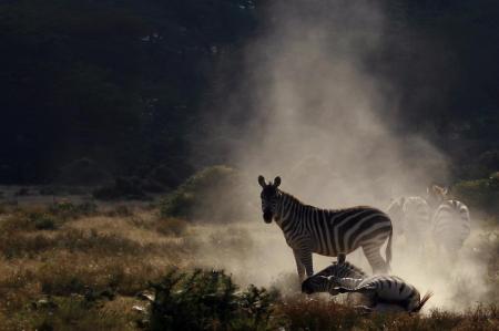 kenya-6-au-15-08-2010-1407.jpg