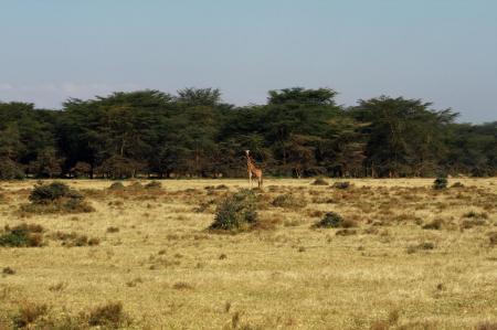 kenya-6-au-15-08-2010-1416.jpg