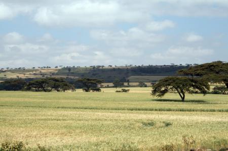 kenya-6-au-15-08-2010-1435.jpg