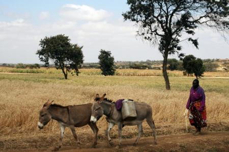 kenya-6-au-15-08-2010-1437.jpg