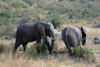 kenya-6-au-15-08-2010-1466.jpg