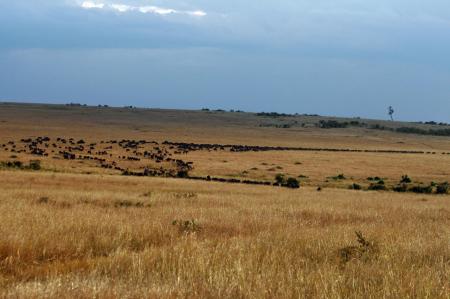 kenya-6-au-15-08-2010-1509.jpg