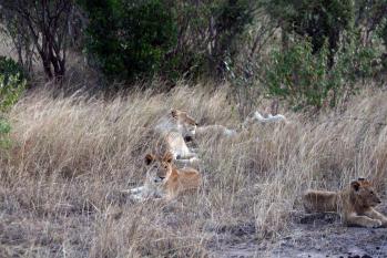 kenya-6-au-15-08-2010-1517.jpg