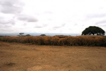 kenya-6-au-15-08-2010-222.jpg