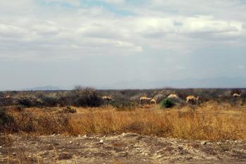 kenya-6-au-15-08-2010-286.jpg