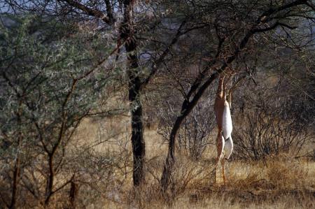 kenya-6-au-15-08-2010-413.jpg