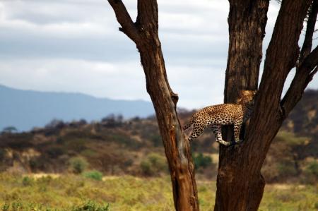 kenya-6-au-15-08-2010-692-1.jpg