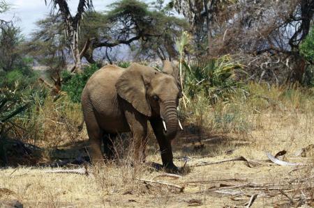 kenya-6-au-15-08-2010-723.jpg