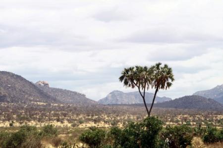 kenya-6-au-15-08-2010-729.jpg