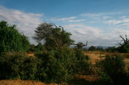 kenya-6-au-15-08-2010-803.jpg