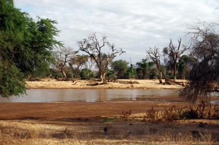 kenya-6-au-15-08-2010-828.jpg