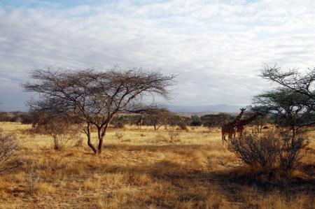 kenya-6-au-15-08-2010-862.jpg