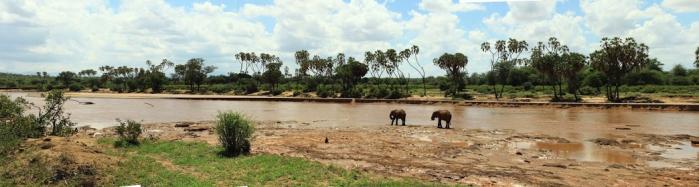 Samburu nov 2014